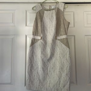 Calvin Klein Neutral Dress with Gold Detail (worn 1x)